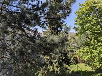 K pronájmu byt 2+1 (58 m2) ulice Teplická 639/73, Duchcov - PXL_20260427_111856785.jpg