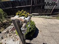 Prodej zahrady 265 m2, obec Braňany - IMG_2494.jpeg