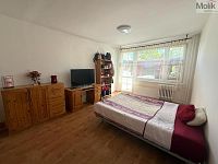 Byt 3+1, ul. Karla Čapka, Krupka - WhatsApp Image 2026-04-30 at 06.38.47 (4).jpeg