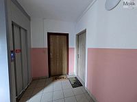 K prodeji družstevní byt 3+1+L (74 m2) ulice Pod Hvězdárnou 212/9, Teplice, Prosetice  - PXL_20260505_093831669.jpg