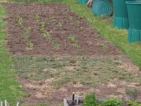Prodej zahrada rozloha 446 m2 se, zděná chata možnost celoroční užívání v Chomutov, Bezručovo údolí