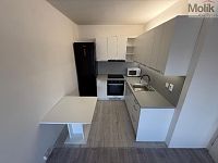 Prodej bytu 2kk, ul. M. J. Husa, Most, 40 m2 - stažený soubor (3).jpg