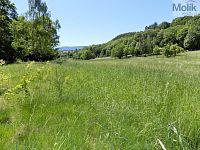 Stavební pozemky, zemědělská usedlost a louky v Dubí Běhánkách, v ulici Dlouhá - DSCN9140a.jpg