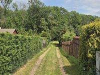 Prodej zahrady 848m2, Vadkovice - WhatsApp Image 2026-06-03 at 13.24.19 (9).jpeg