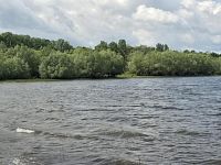 Prodej zahrady 848m2, Vadkovice - WhatsApp Image 2026-06-03 at 13.24.19.jpeg