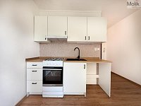 Prodej bytu 1+1, 35 m2, Bílina, ul. Sídliště Za Chlumem - IMG_5677.jpg