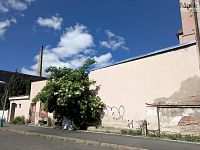 K pronájmu obchodní/skladovací prostory o velikosti 70 m2, Teplice, ul. Thámova 1052/26 - PXL_20260525_140006707.jpg