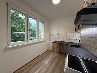 Pronájem bytu 2 + 1 s lodžií, ul. Pionýrů, Most, 54 m2 - stažený soubor (2).jpg