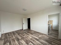 Pronájem bytu 1kk, ul. Růžová, Most, 27 m2 - stažený soubor (3).jpg