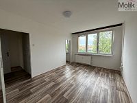 Pronájem bytu 1kk, ul. Růžová, Most, 27 m2 - stažený soubor (4).jpg