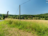 Prodej zemědělského pozemku 23 391 m², BraňanyKaňkov - 7.  DSA04300-HDR.jpg