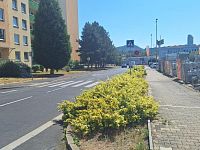 Prodej bytu 1+kk, Teplice, ul. Seifertova - 114