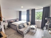 Prodej bytu 1+kk, Teplice, ul. Seifertova - 55