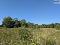 K prodeji stavební parcela 998 m2, v obci Mariánské Radčice - PXL_20260729_081350162