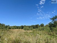 K prodeji stavební parcela 1.155 m2, v Obci Mariánské Radčice - PXL_20260729_081358461