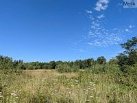 K prodeji stavební parcela 1.155 m2, v Obci Mariánské Radčice - PXL_20260729_081358461