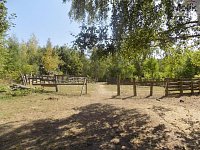 Prodej stavebního pozemku 3706 m2 v obci Zabrušany - Horní Straky - DSCN9334a