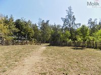 Prodej stavebního pozemku 3706 m2 v obci Zabrušany - Horní Straky - DSCN9336a
