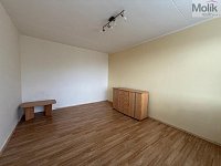 Pronájem bytu 1 + 1, ul. U Zámeckého parku, Horní Litvínov, Litvínov, okres Most, 35m2 - stažený soubor (4)