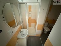 Pronájem bytu 1 + 1, ul. U Zámeckého parku, Horní Litvínov, Litvínov, okres Most, 35m2 - stažený soubor (5)