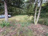 Prodej zahrady v Mostě - WhatsApp Image 2026-08-18 at 13.25.24 (1)