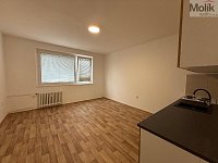 Pronájem bytu 2kk, ul. Šrámkova, Ústí nad Labem - Severní Terasa, 40 m2 - stažený soubor (1)