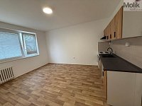 Pronájem bytu 2kk, ul. Šrámkova, Ústí nad Labem - Severní Terasa, 40 m2 - stažený soubor (2)