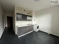 Prodej bytu 2 + 1 s lodžií, ul. Dřínovská, Chomutov, 62 m2 - stažený soubor