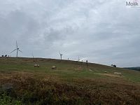 Prodej pozemku 3241m2, Nová Ves v Horách