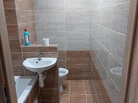 Prodej byt 1+1, balkon, zcela rekonstruován, plocha 36 m2, Jirkov, Hornická - IMG-20260818-WA0013