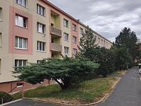 Prodej byt 1+1, balkon, zcela rekonstruován, plocha 36 m2, Jirkov, Hornická - IMG_20260819_151341