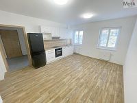 Pronájem vybaveného bytu 2+kk, 45m2, Hollarova, Most 