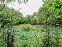 Prodej RD Holšice 5kk 188m2, zahrada 802m2 + pozemky 2877m2 - Foto 28