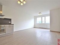 Pronájem 2kk 55m2 P3 Žižkov, ul. V zahrádkách, terasa, sklep, garáž, nezařízen