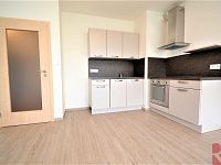 Pronájem 2kk 55m2 P3 Žižkov, ul. V zahrádkách, terasa, sklep, garáž, nezařízen - Foto 13