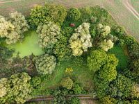 Prodej RD Holšice 5kk 188m2, zahrada 802m2 + pozemek 2877m2 - Foto 27