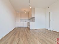 Pronájem 2kk 56m2 P4 Kamýk, ul. Hodkovická, balkon, sklep, garážové stání, nezařízen - fotografie