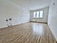 Pronájem bytu 2+1, Revoluční, Chodov - Foto 4