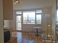 Pronájem bytu 0+1/L  s lodžií a sklepem, sídliště Kamýk - Foto 11