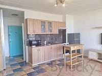 Pronájem bytu 0+1/L  s lodžií a sklepem, sídliště Kamýk - Foto 14