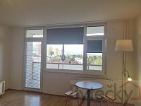 Pronájem bytu 0+1/L  s lodžií a sklepem, sídliště Kamýk - Foto 19