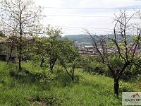 Zahrada, Klíše - Ústí nad Labem - IMG_5431.JPG