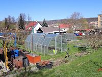 Prodej zahrádky s chatou v OV Děčín Březová - Foto 11
