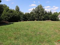 Prodej stavebního pozemku v obci Jetřichovice - Vysoká Lípa - IMG_6766.JPG