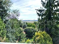 Prodej rodinného domu 6+kk s velkou zahradou o celkové výměře 1605 m2 ve Zdislavicích. - e7e9239d-3125-4f3d-903f-6d65d77a5345 (1).jpg