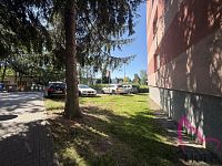 Prodej bytu 2+1, Reissova - Šumperk - IMG_6404.jpeg