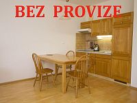 Garsoniéra, 40m2, zařízená, garážové stání, bez provize