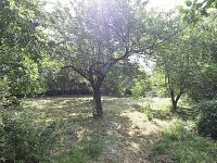 Prodej rodinného domu ke kompletní rekonstrukci  velký pozemek, klid, zeleň | Kaliště u Ondřejova - Foto 6