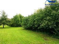 K prodeji pozemek pro stavbu rodinných domků 2.900 m2 - Foto 2