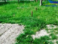 Prodej pozemku 9.900 m2 ke komerčnímu využití  - Foto 2